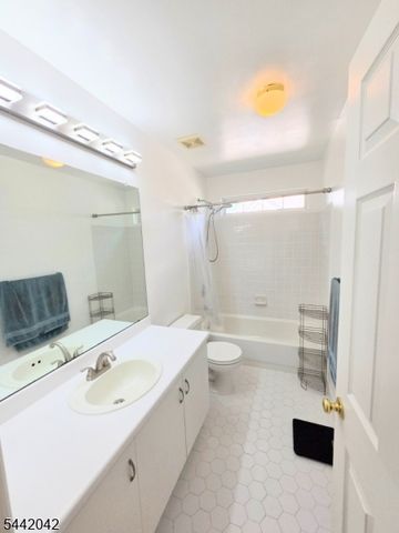 51 Bouwrey Pl, Readington Twp., NJ 08889