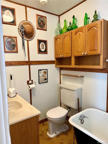 453 Mckinley Street, Walden, CO 80480