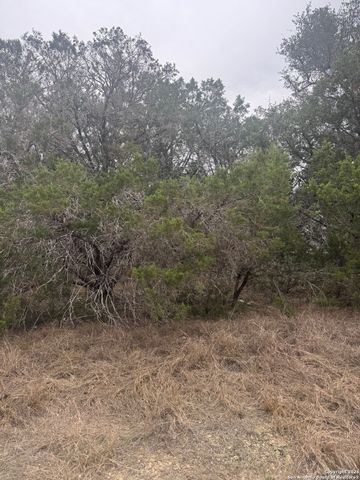 1042 Covered Wagon, Spring Branch, TX 78070