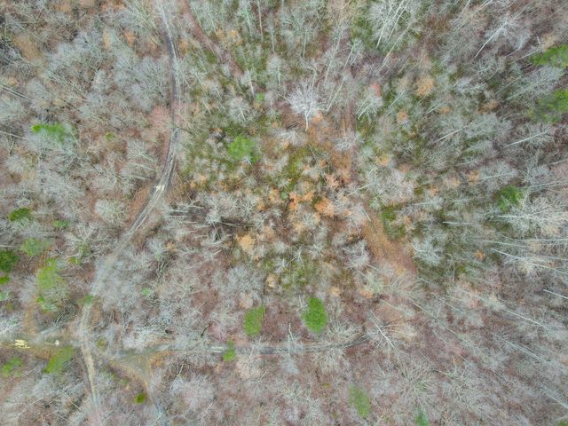 1737B High Rock Road, Stanton, KY 40380