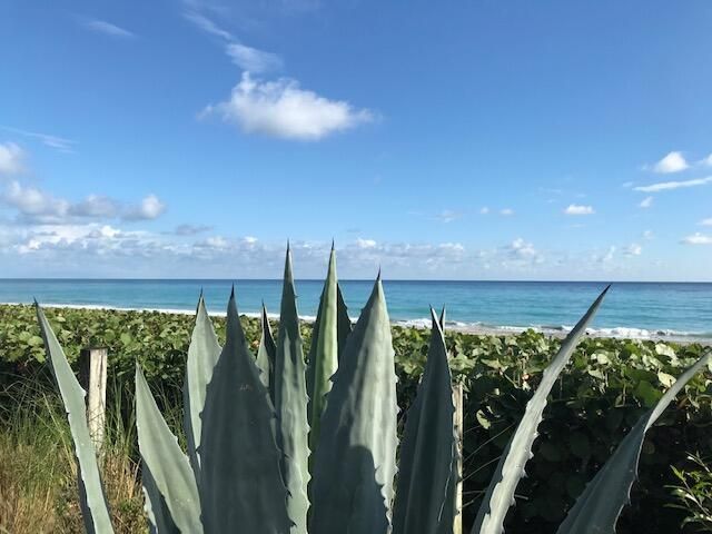 1420 Ocean Way 29a, Jupiter, FL 33477