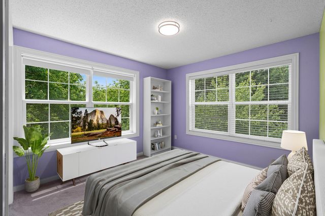 883 Braunworth Court, Chaska, MN 55318