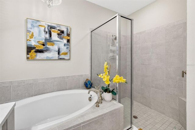 33805 ASTORIA CIRCLE, Wesley Chapel, FL 33545