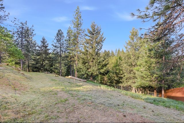 26375 Barb Wire Ln, Colfax, CA 95713
