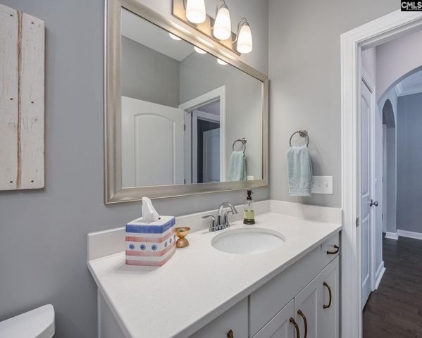 709 Ruskin Drive, Chapin, SC 29036
