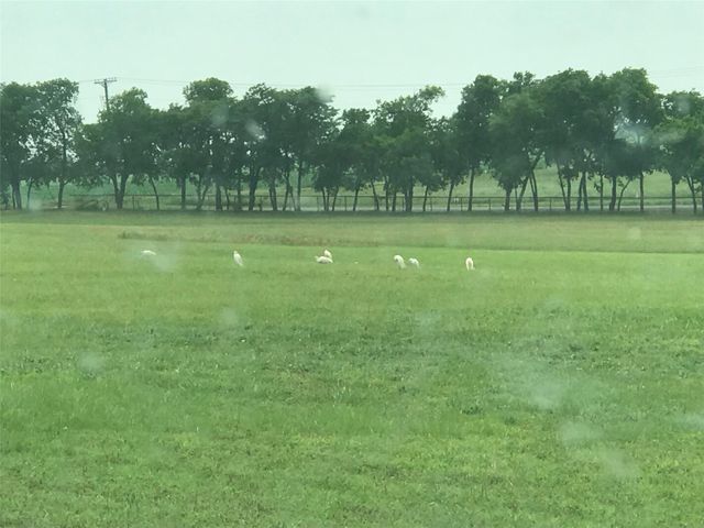 00 County Road 168, Mckinney, TX 75071