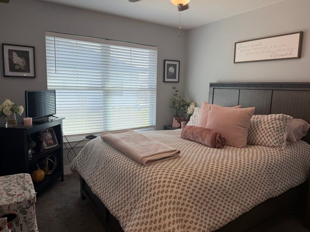 735 Peacock Place, Manteno, IL 60950