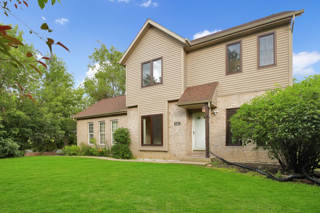 307 Blackstone Avenue, Willow Springs, IL 60480 — photo 3
