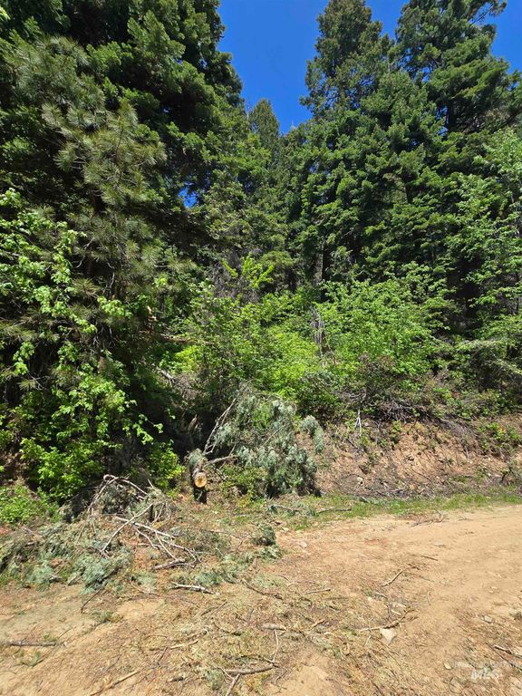 74 Burnt Wagon Trail, Donnelly, ID 83615 photo 2