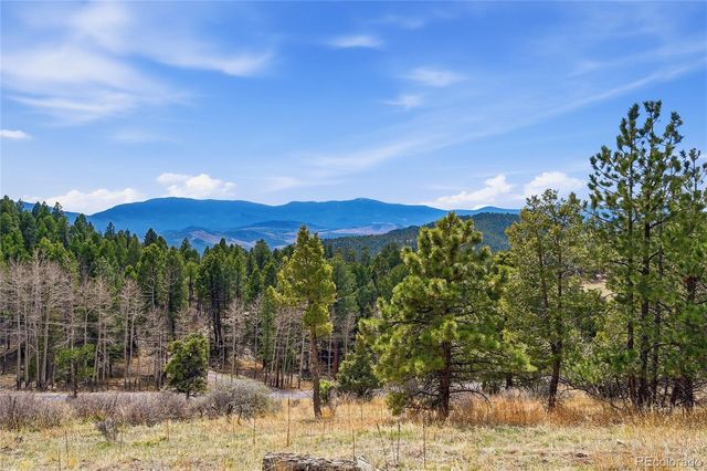 13108 Elsie Road, Conifer, CO 80433