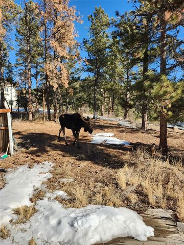 13108 Elsie Road, Conifer, CO 80433