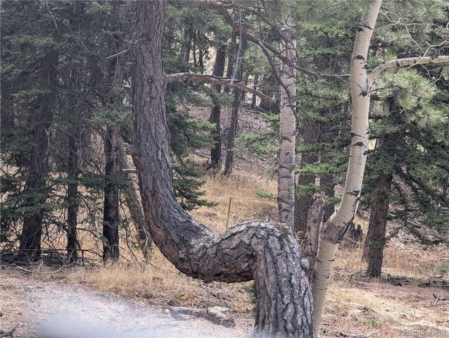 13108 Elsie Road, Conifer, CO 80433