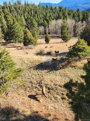 13108 Elsie Road, Conifer, CO 80433