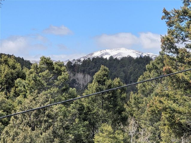 13108 Elsie Road, Conifer, CO 80433