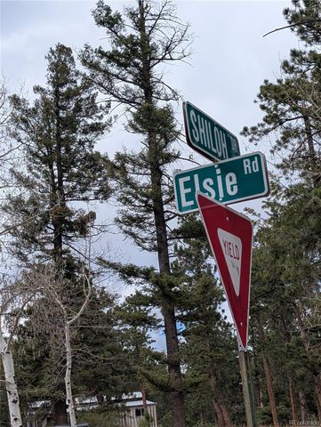 13108 Elsie Road, Conifer, CO 80433