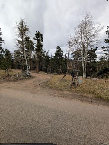 13108 Elsie Road, Conifer, CO 80433