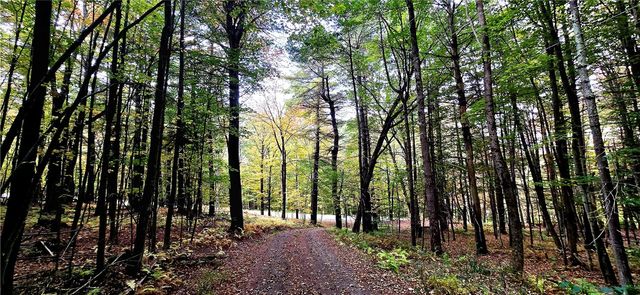 1236 Harper Road, Harpersfield, NY 13786