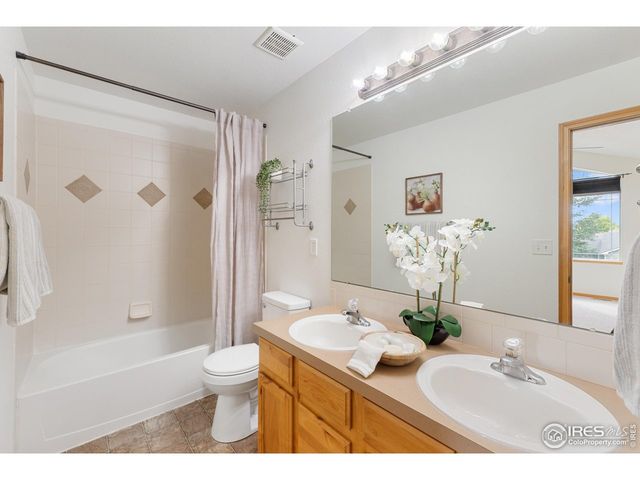 8805 Flaming Arrow Ave, Wellington, CO 80549