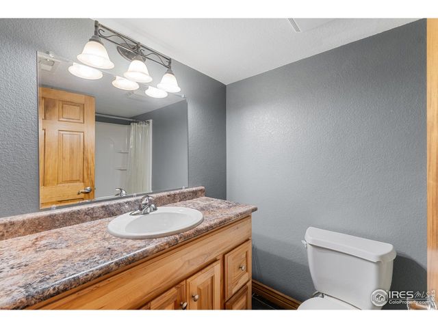 8805 Flaming Arrow Ave, Wellington, CO 80549