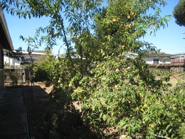 155 Lita Lane, Watsonville, CA 95076