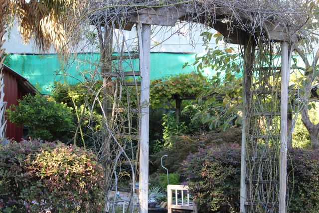 311 McEwen Drive, Niceville, FL 32578