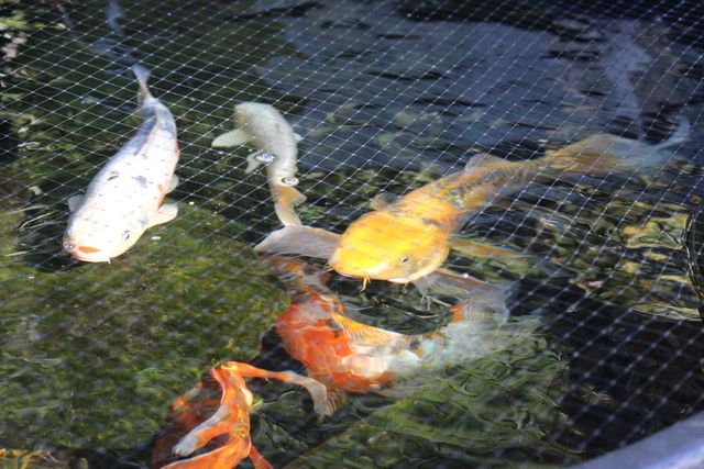 311 McEwen Drive, Niceville, FL 32578