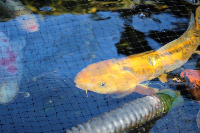 311 McEwen Drive, Niceville, FL 32578