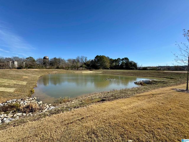 39 ABERDEEN DRIVE, Calera, AL 35040