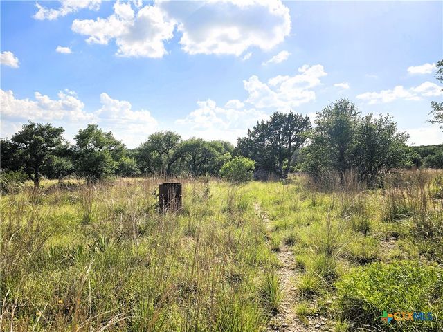 100 Reavis Drive, Kempner, TX 76539