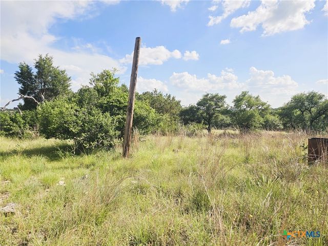 100 Reavis Drive, Kempner, TX 76539