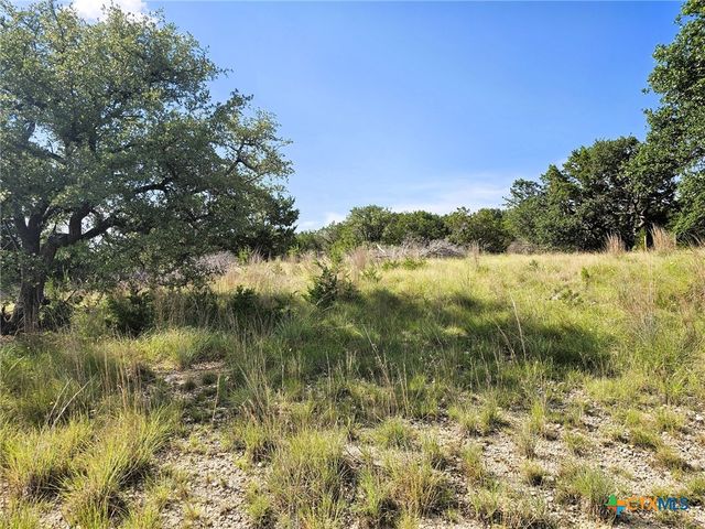 100 Reavis Drive, Kempner, TX 76539