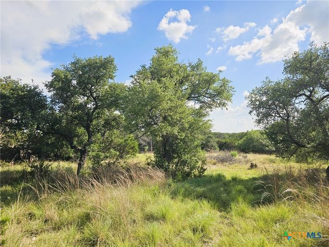 100 Reavis Drive, Kempner, TX 76539