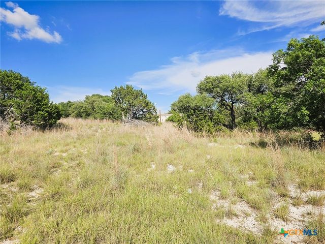 100 Reavis Drive, Kempner, TX 76539