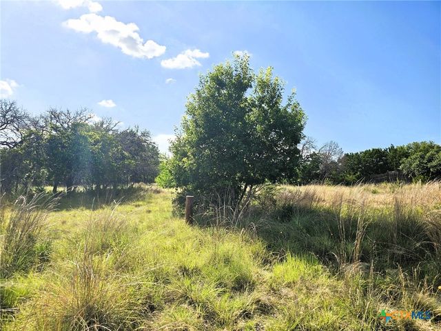 100 Reavis Drive, Kempner, TX 76539