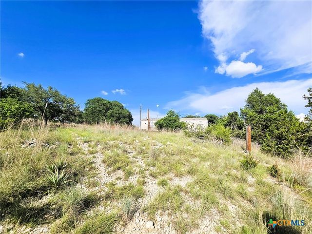 100 Reavis Drive, Kempner, TX 76539