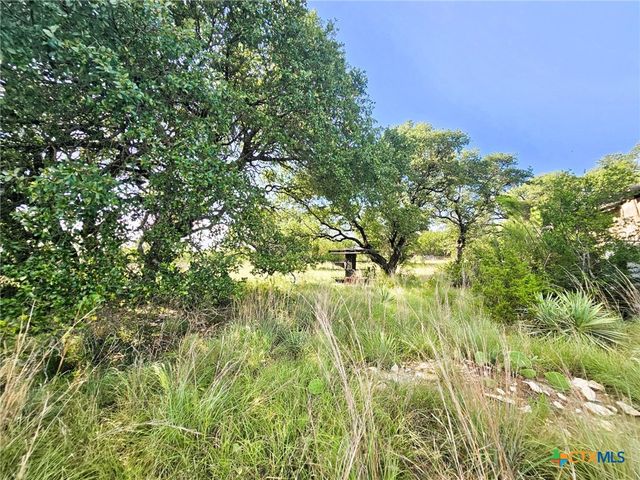 100 Reavis Drive, Kempner, TX 76539