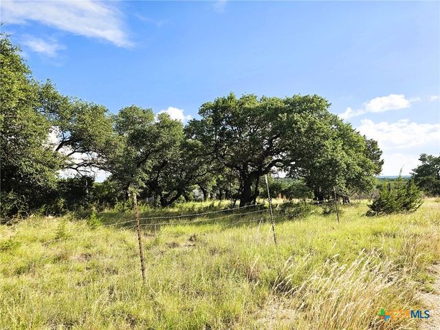 100 Reavis Drive, Kempner, TX 76539