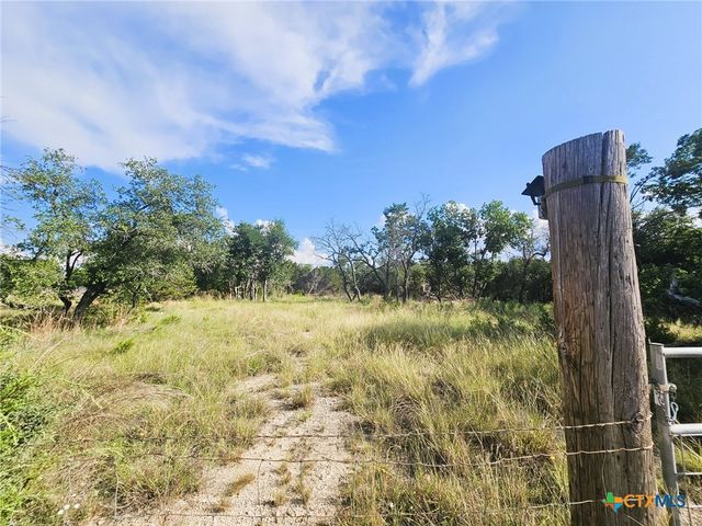 100 Reavis Drive, Kempner, TX 76539