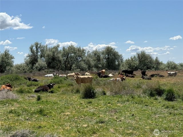 8708 Road K Road NE, Moses Lake, WA 98837