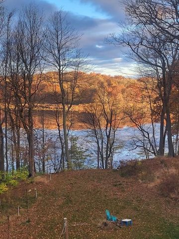 23536 Forest Shores Drive, Cassopolis, MI 49031