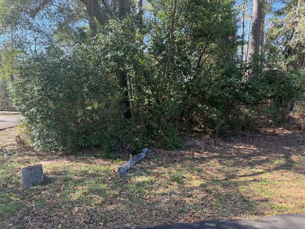 299-B Cypress Drive, Conroe, TX 77304