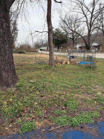 39 S Lakeview Lane, Galena, MO 65656