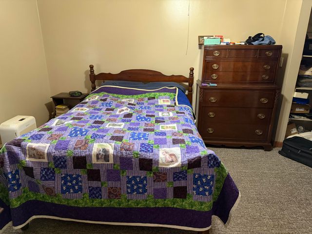 39 S Lakeview Lane, Galena, MO 65656