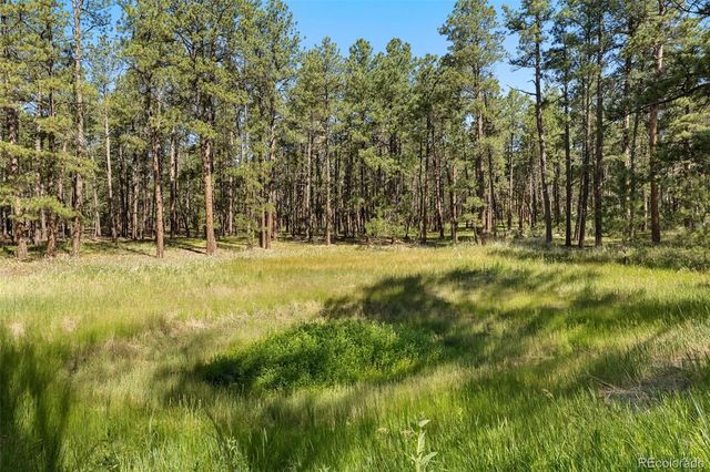 7005 Shoup Road, Colorado Springs, CO 80908