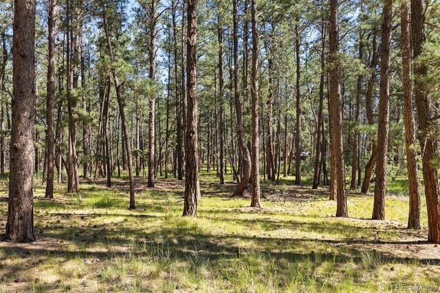 7005 Shoup Road, Colorado Springs, CO 80908