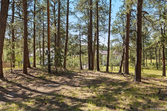 7005 Shoup Road, Colorado Springs, CO 80908