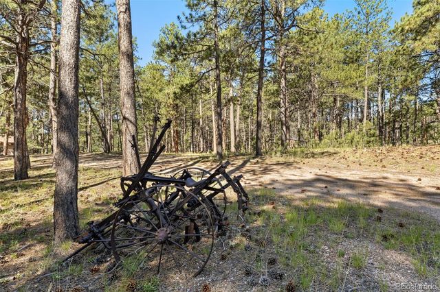 7005 Shoup Road, Colorado Springs, CO 80908
