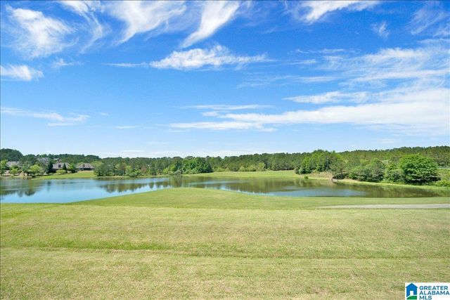 1038 EDGEWATER LANE, Chelsea, AL 35043