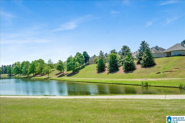1038 EDGEWATER LANE, Chelsea, AL 35043