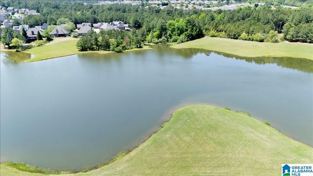 1038 EDGEWATER LANE, Chelsea, AL 35043
